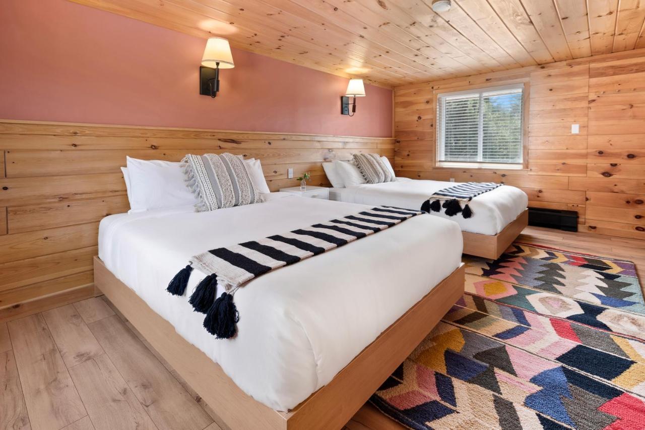 Wolfjaw Lodge ويلمنجتون المظهر الخارجي الصورة